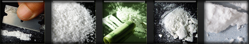 Cocaine Pictures - Images and Photos of Cocaine