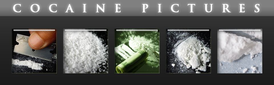 Cocaine Pictures - Images and Photos of Cocaine